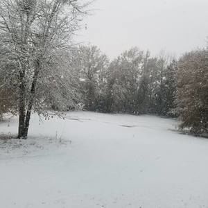 Meet your Posher, Verlisha